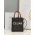 Celine Triomphe Cabas Mini Bag