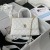 Chanel Small Coco Handle Bag-White