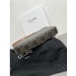Celine Medium Croque Bag