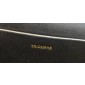 Celine Classique Cuir Triomphe 