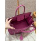 Hermes Birkin 25 / Birkin 30  in Togo Leather-Magnolia