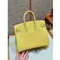 Pre-ordered Birkin 25 / 30  in Ostrich Leather- Lime