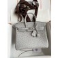 Pre-ordered Birkin 25 / 30  in Ostrich Leather- Girs Perle