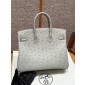 Pre-ordered Birkin 25 / 30  in Ostrich Leather- Girs Perle