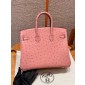 Pre-ordered Birkin 25 / 30  in Ostrich Leather- Terre cuite