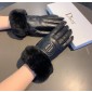 Dior Lambskin Gloves
