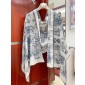 Diort Large Silk Scarf 