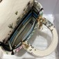 Christian Dior Medium Lady D-Lite Bag 