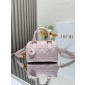 Dior Groove 20 Bag